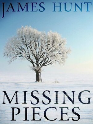 cover image of Missing Pieces